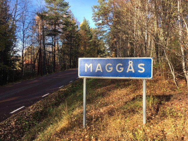 Maggås skylt